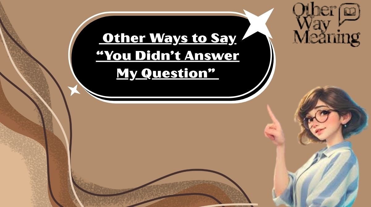 Other Ways to Say “You Didn’t Answer My Question”