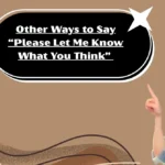 Other Ways to Say “Please Let Me Know What You Think”