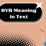 HYB Meaning in Text