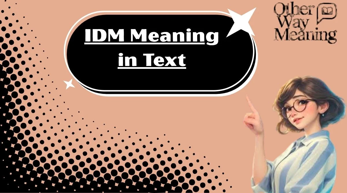 IDM Meaning in Text