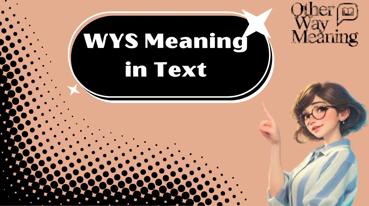 WYS Meaning in Text